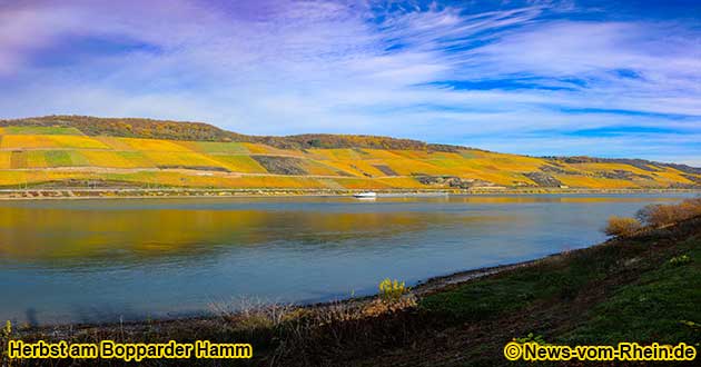 Herbst im Bopparder Hamm